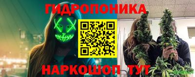 a pvp Будённовск