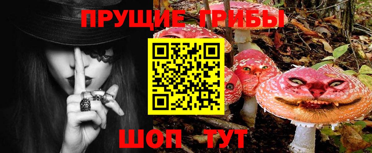 Псилоцибиновые грибы Cubensis Ялта