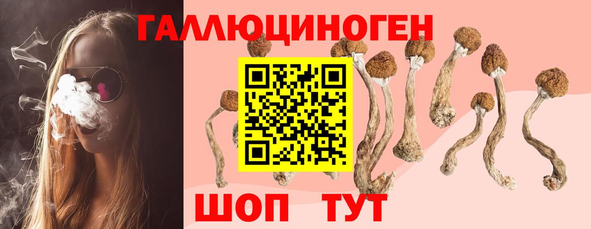 Ялта  Псилоцибиновые грибы мухоморы  Вход с VPN 
